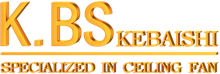 KBS logosu